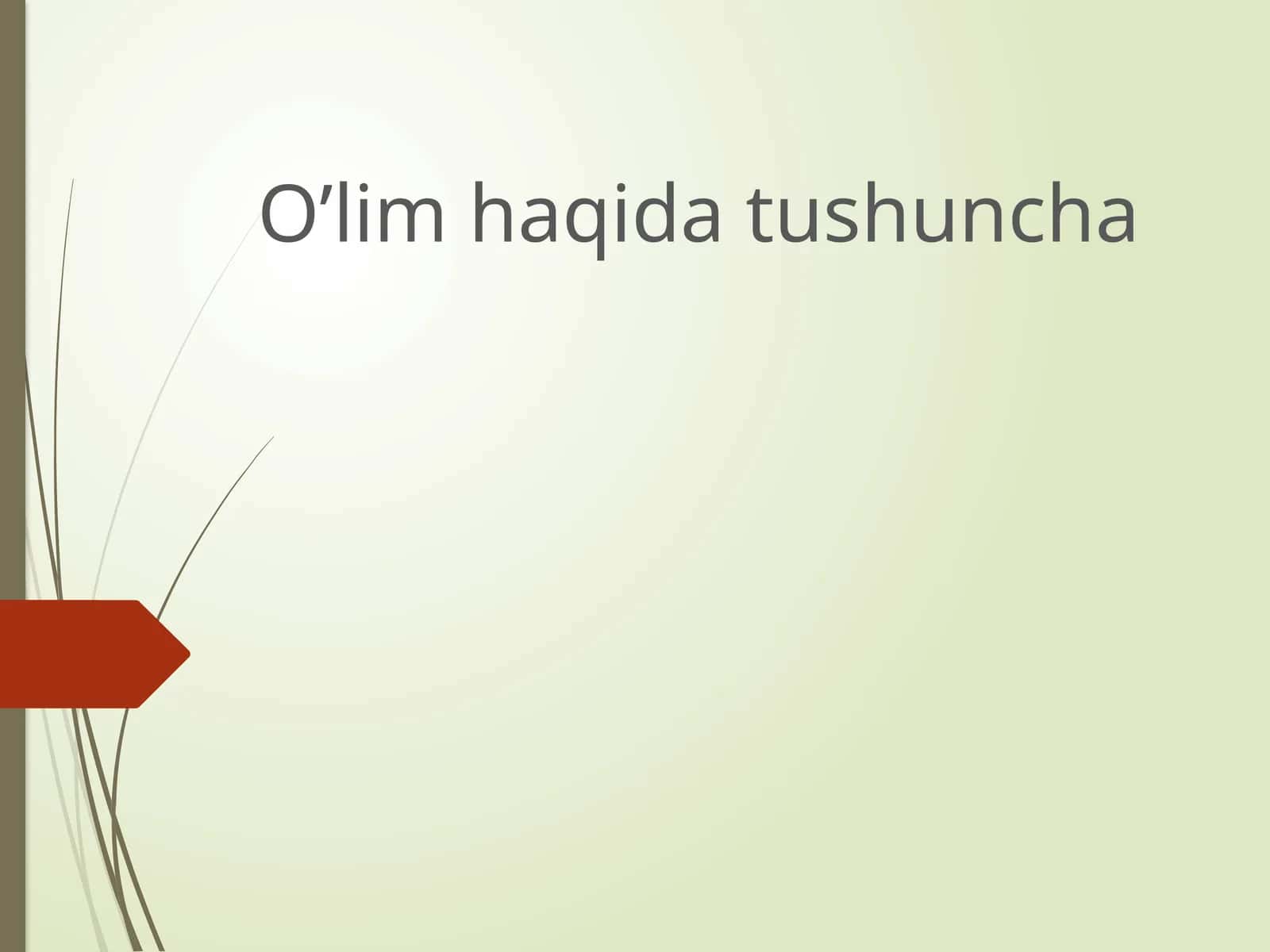 O’lim haqida tushuncha 1
