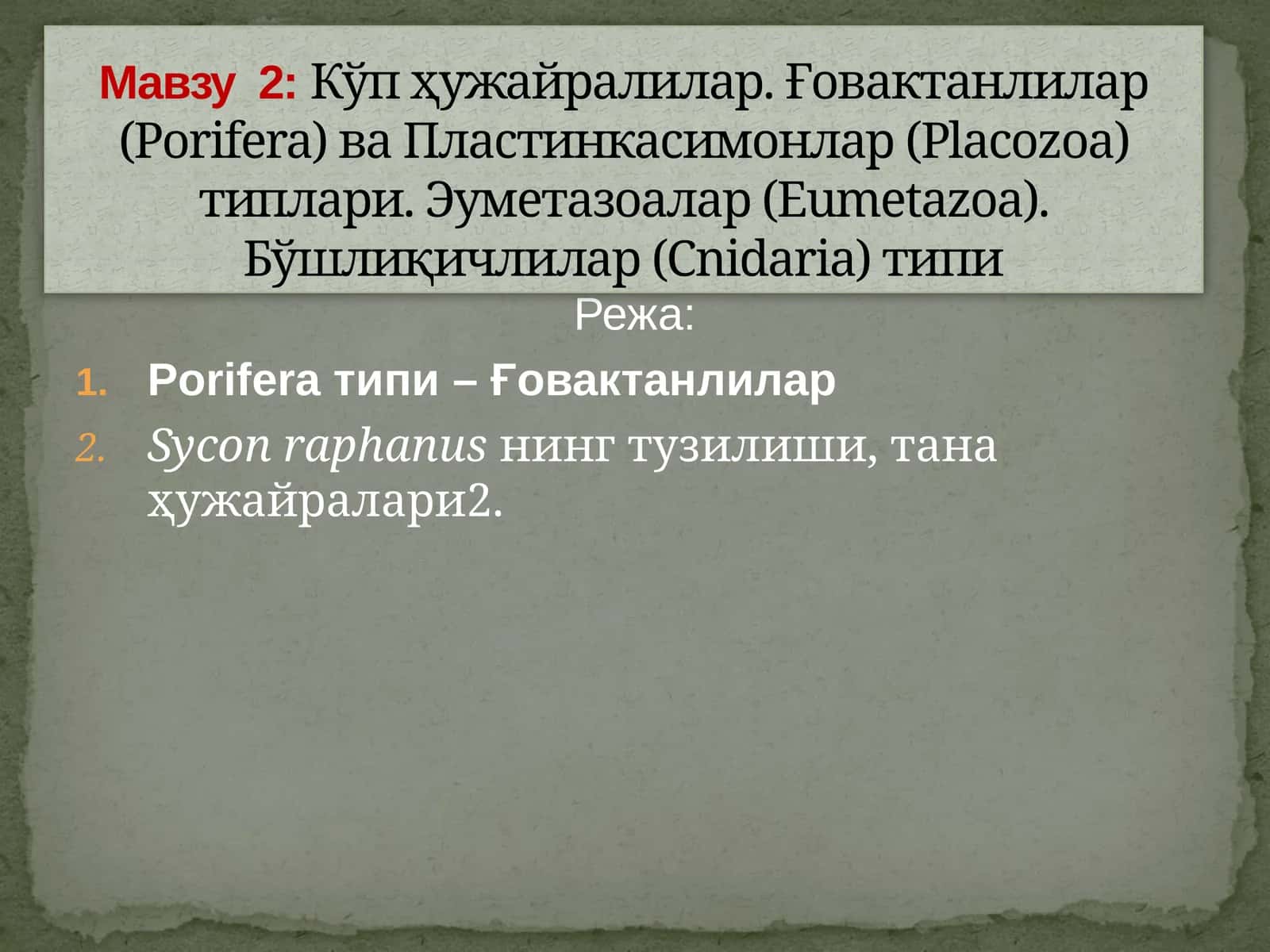 Porifera(Spongia) –Ғовактанлилар типи 1