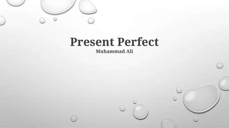 Present Perfect 1