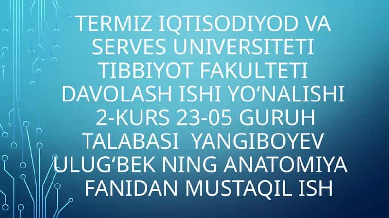 Ta’m va hid bilish analizatorlarining funksional anatomiyasi 1