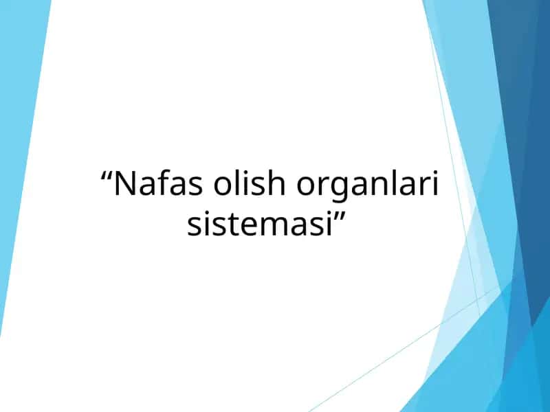 Nafas olish organlari sistemasi 1