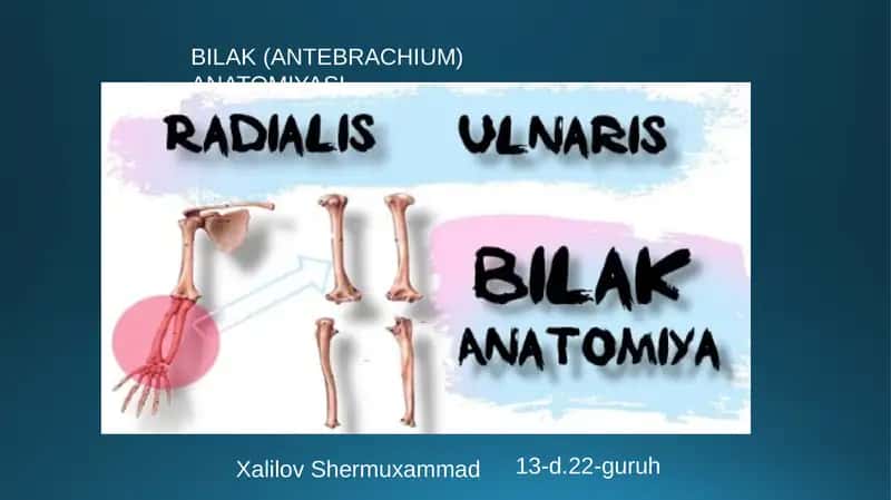 bilak anatomiyasi tranvatologiya fanidan 1