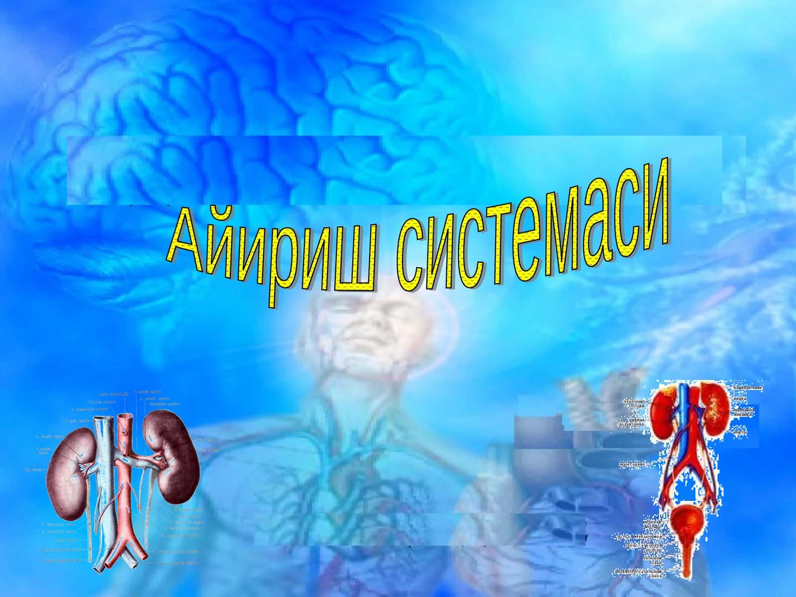 Айириш системаси 1