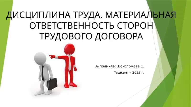 Трудовой договор 1