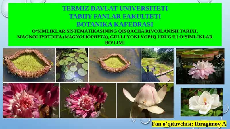 O‘SIMLIKLAR SISTEMATIKASI 1