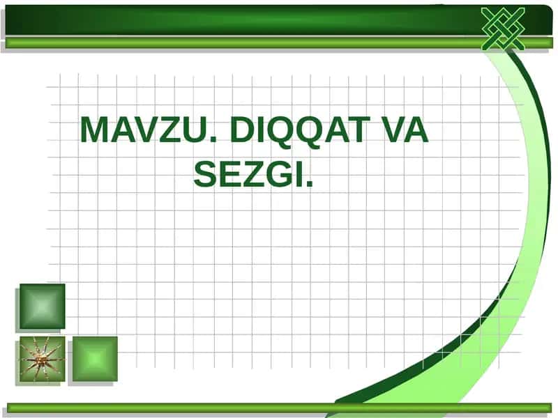 Diqqat va Sezgi 1