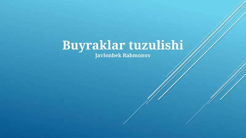 Buyraklar tuzulishi 1