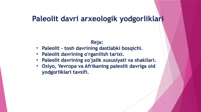 Paleolit davri arxeologik yodgorliklari 1