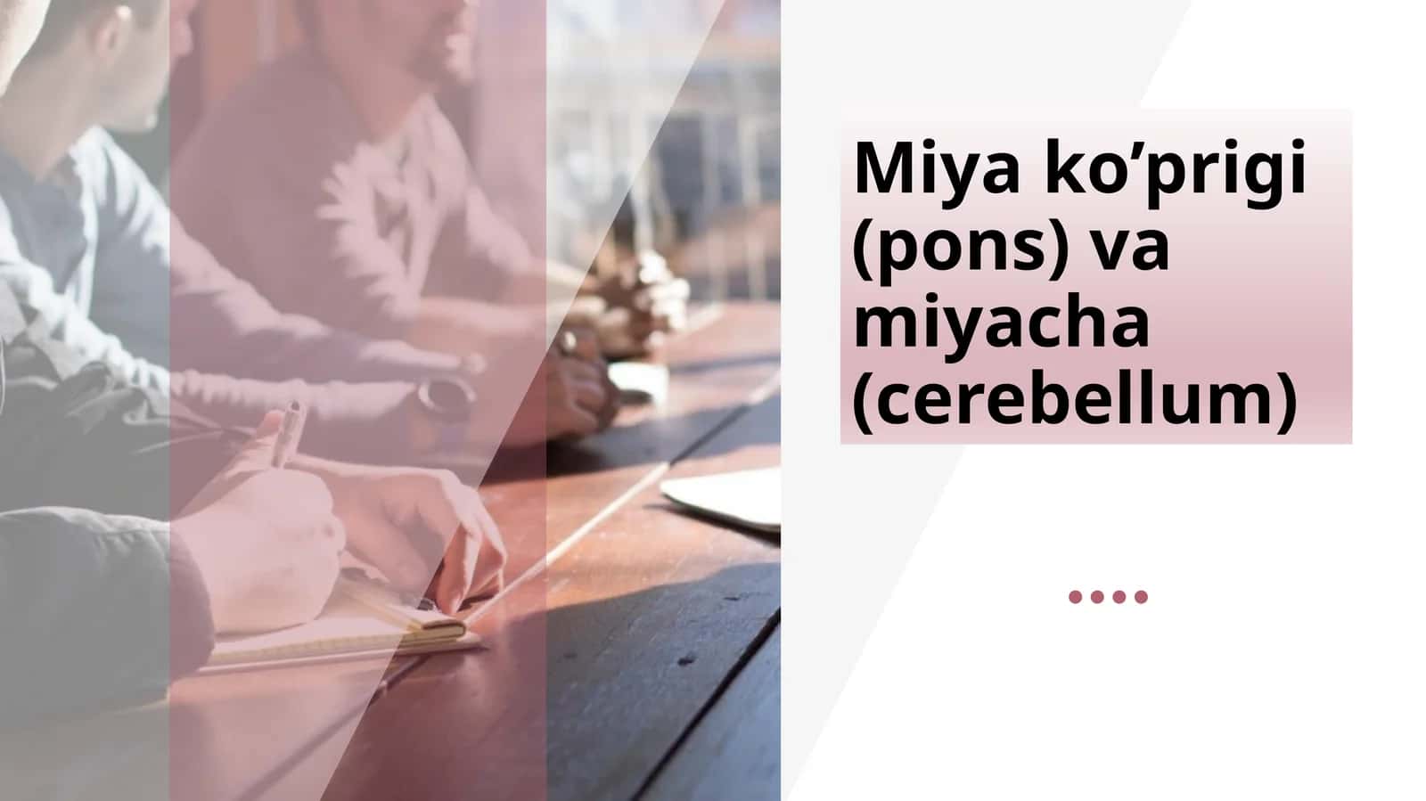 Miyako’prigi(pons) 1