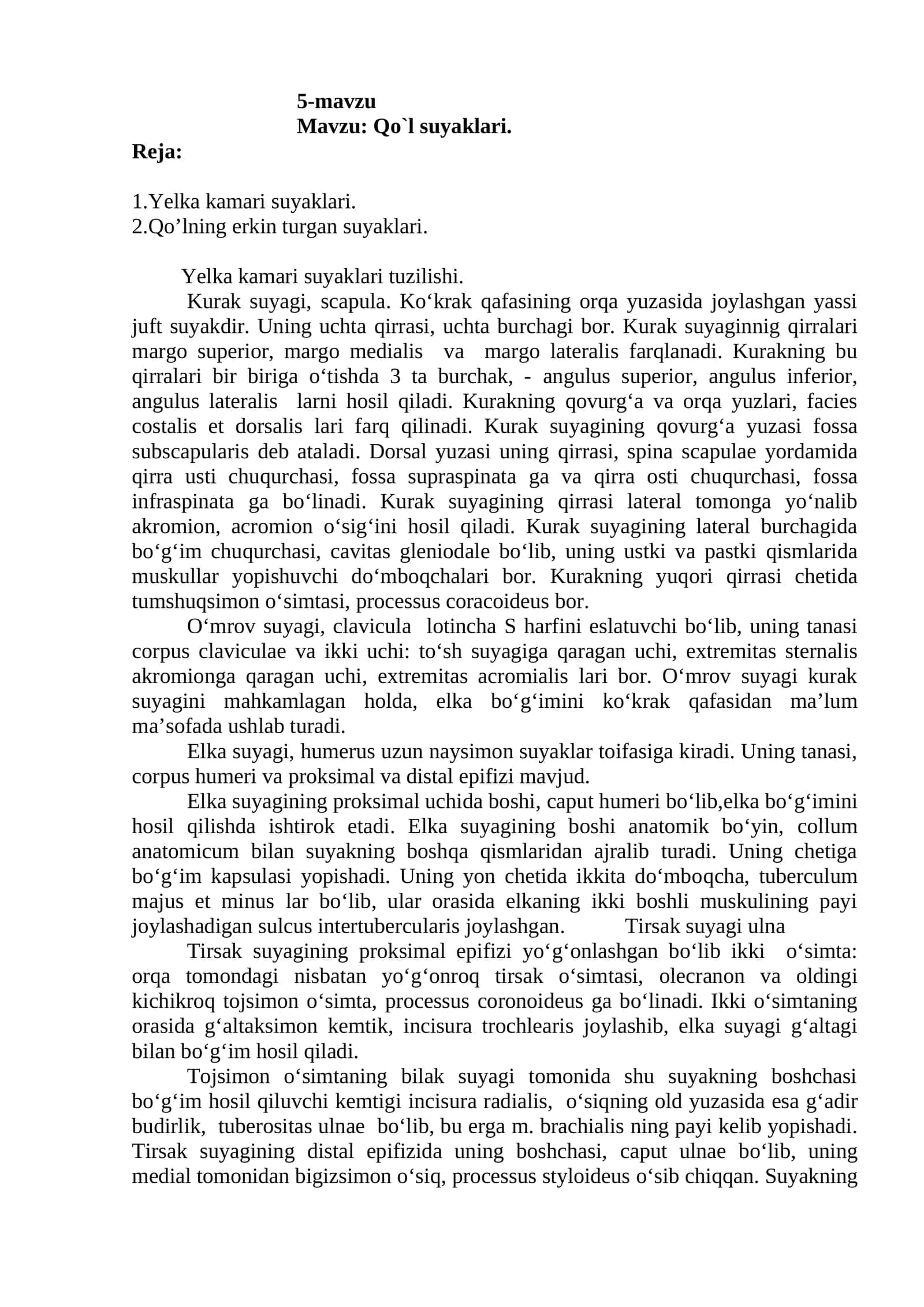 Yelka kamari suyaklari 1