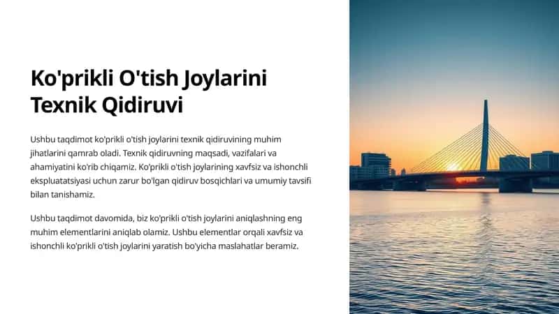 Ko'prikli O'tish Joylarini Texnik Qidiruvi 1