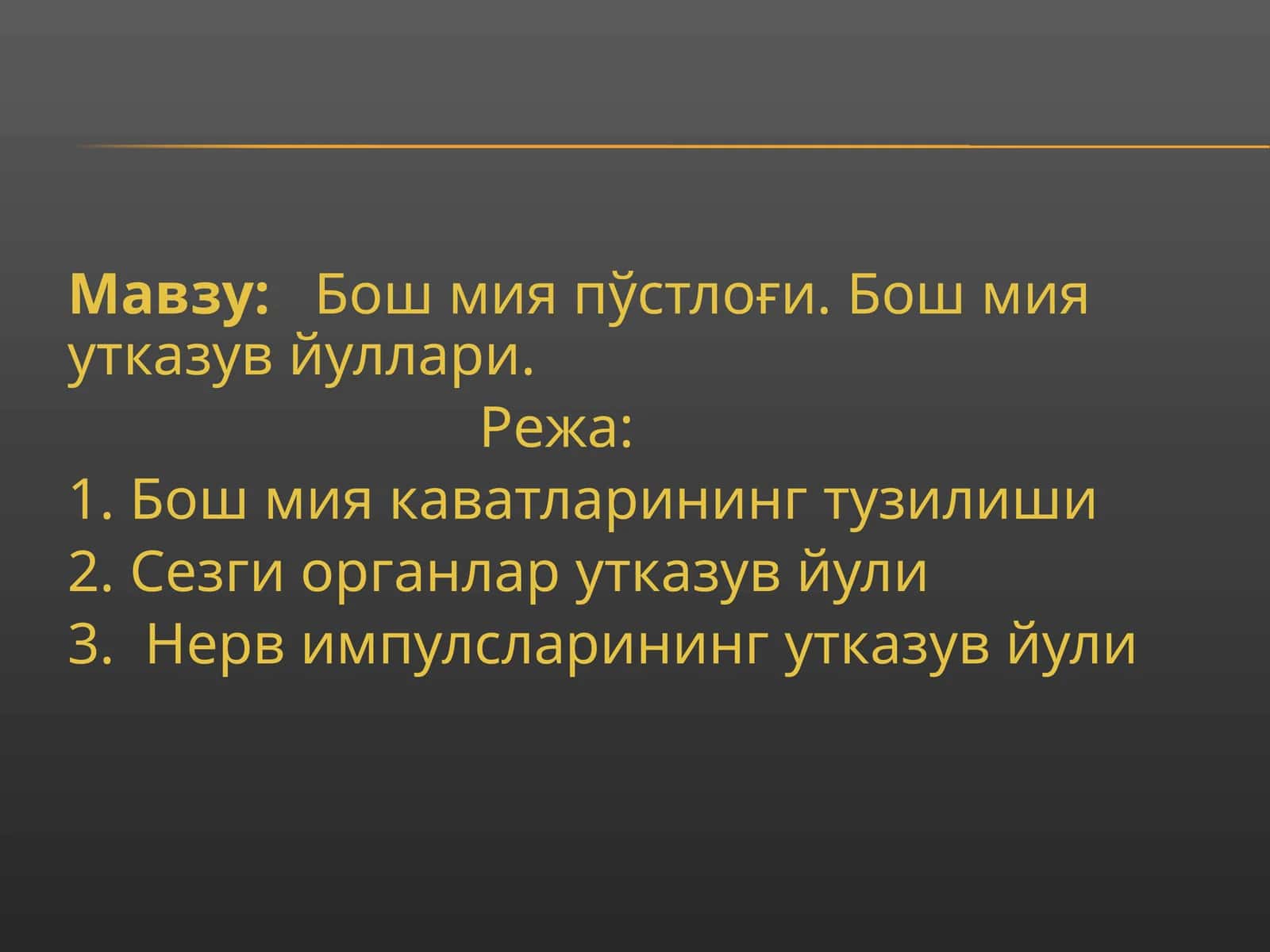 Бош мия пўстлоғи 1