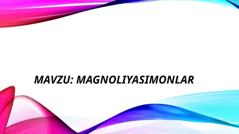 Magnoliyasimonlar 1