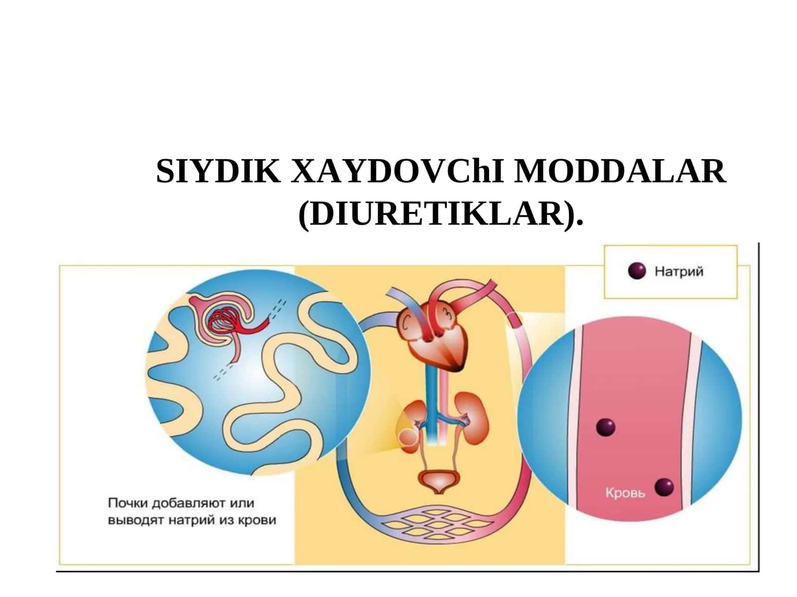 SIYDIK XАYDOVChI MODDАLАR(DIURETIKLАR) 1