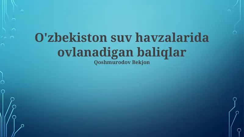 O'zbekiston suv havzalarida ovlanadigan baliqlar 1