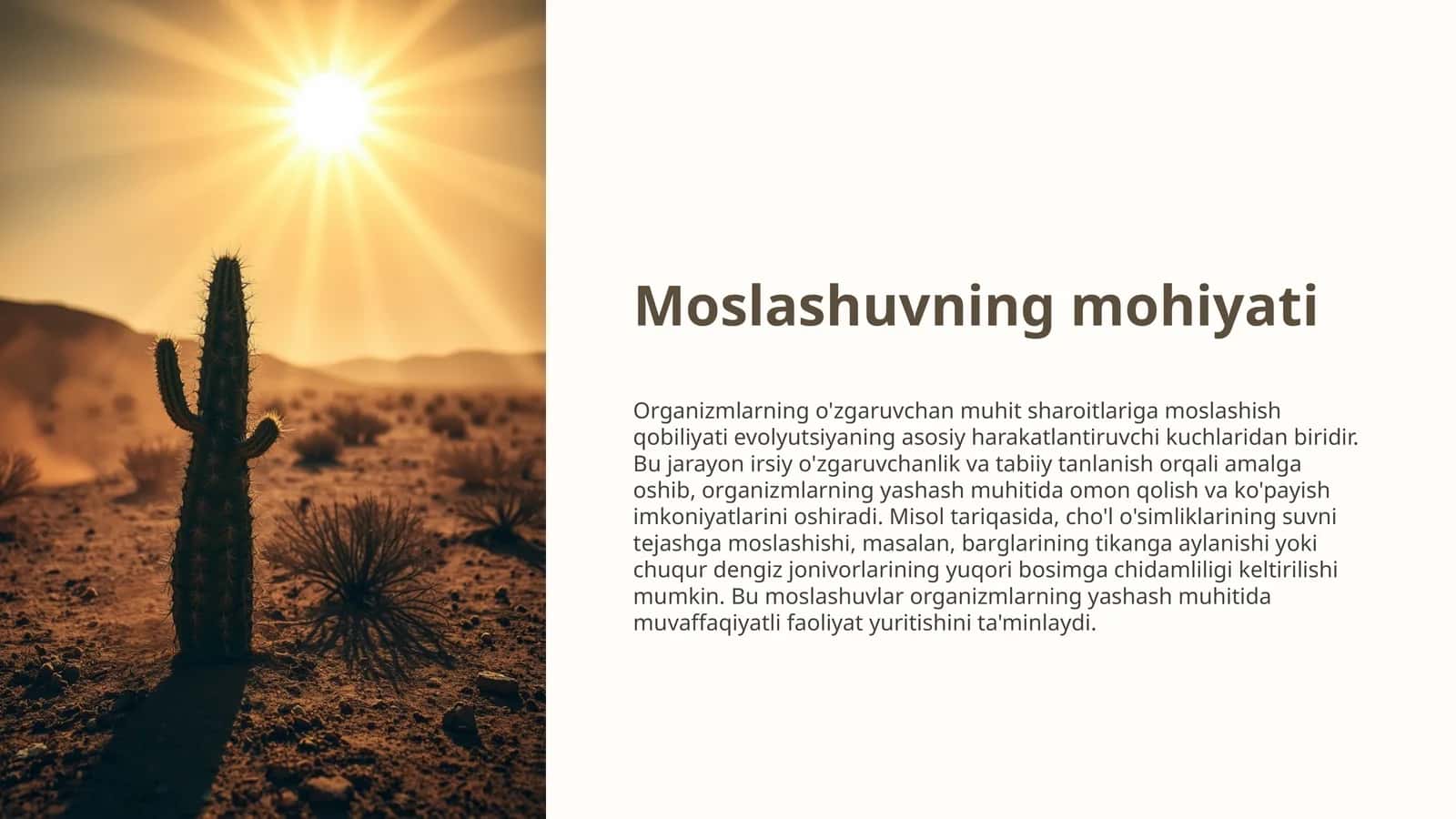 Moslashuvning mohiyati 1