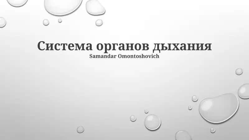 Система органов дыхания 1
