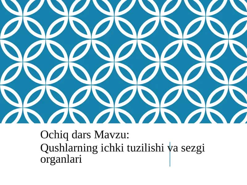 Qushlarning ichki tuzilishi va sezgi organlari 1