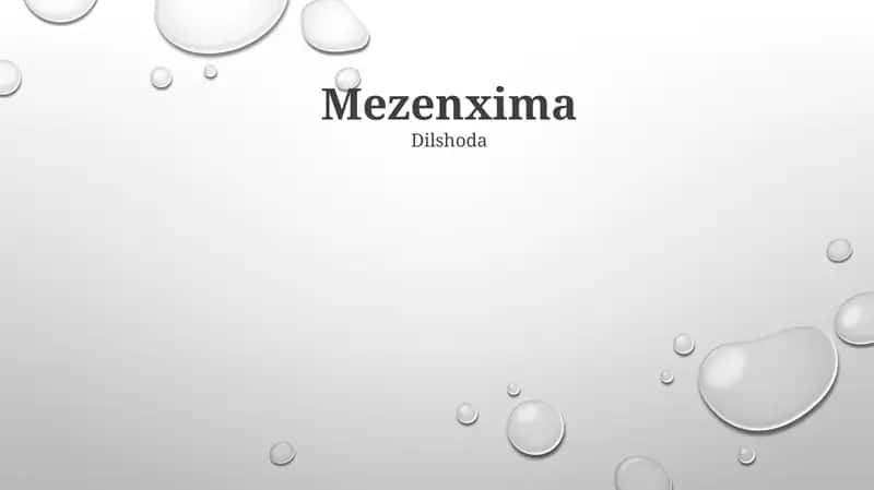 Mezenxima 1