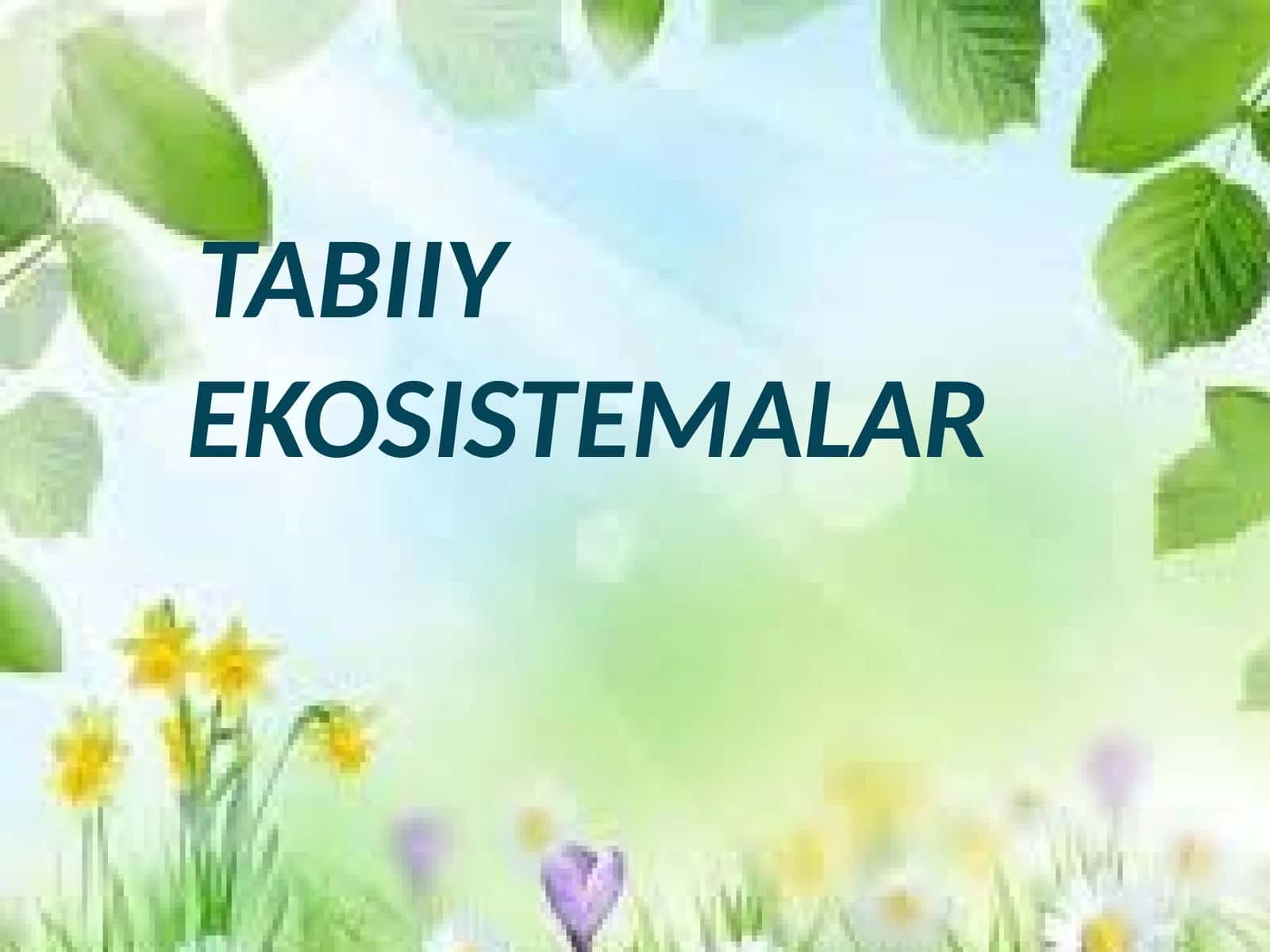 TABIIY EKOSISTEMALAR 1