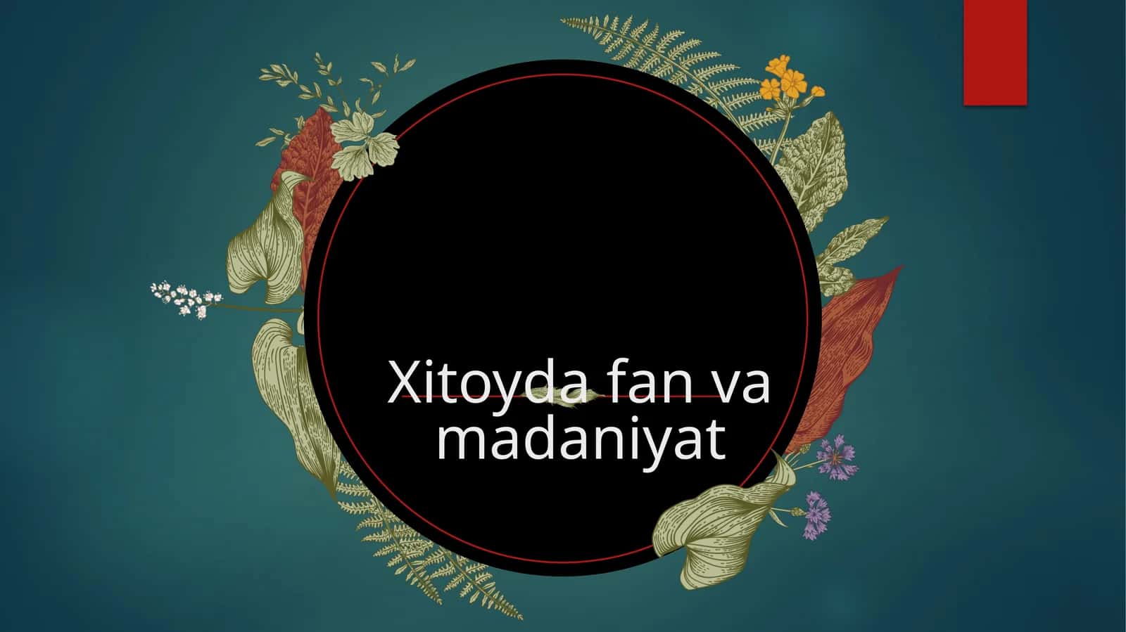 Xitoy madaniyat 1
