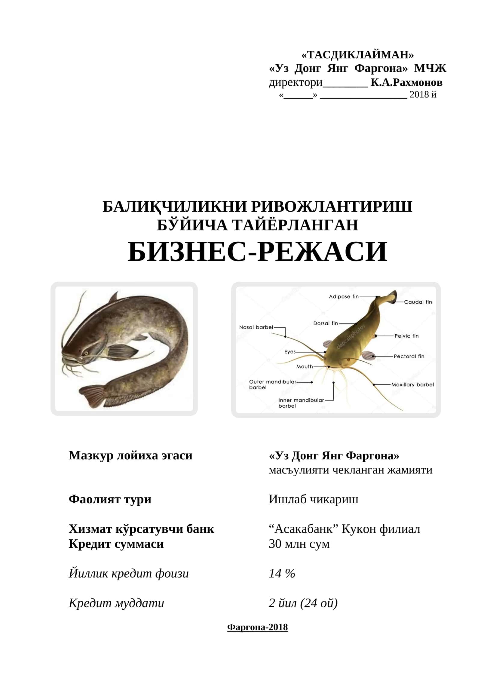 Baliqchilik biznes reja 1