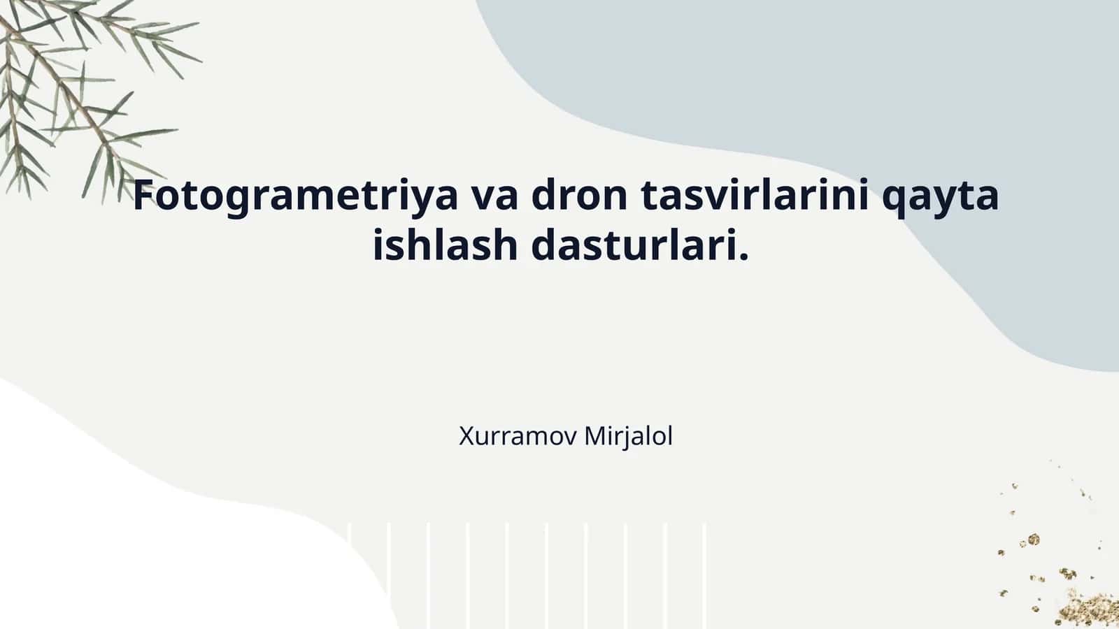 Fotogrametriya va dron tasvirlarini qayta ishlash dasturlari. 1