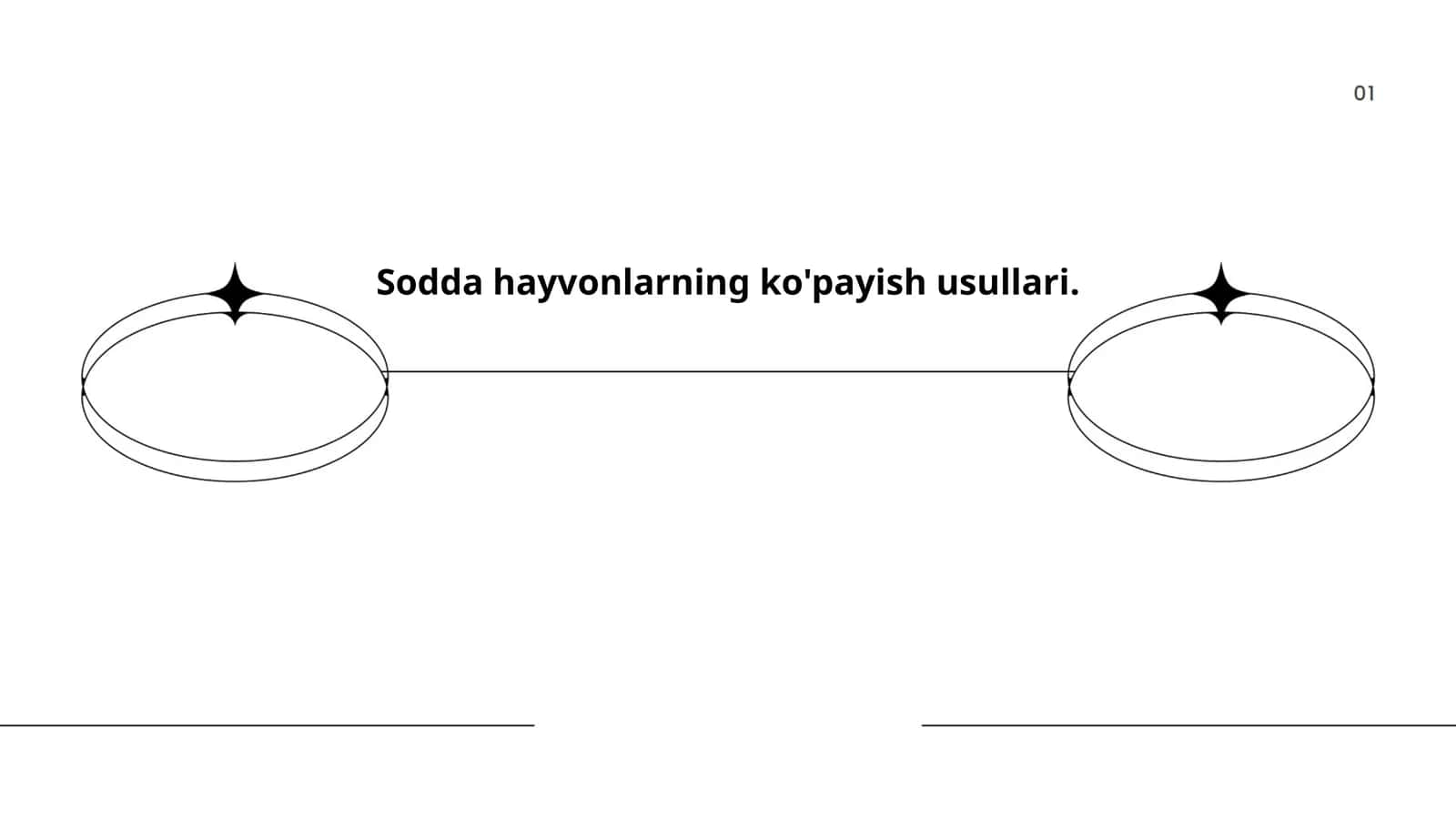 Sodda hayvonlarning ko'payish usullari 1