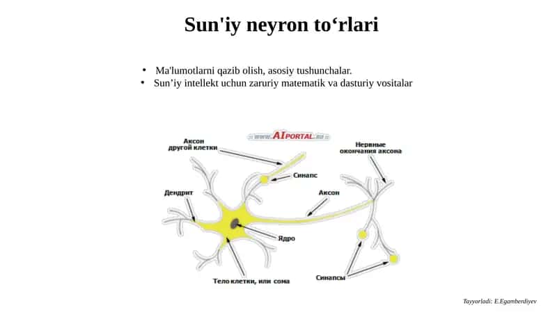 Sun'iy neyron to‘rlari 1