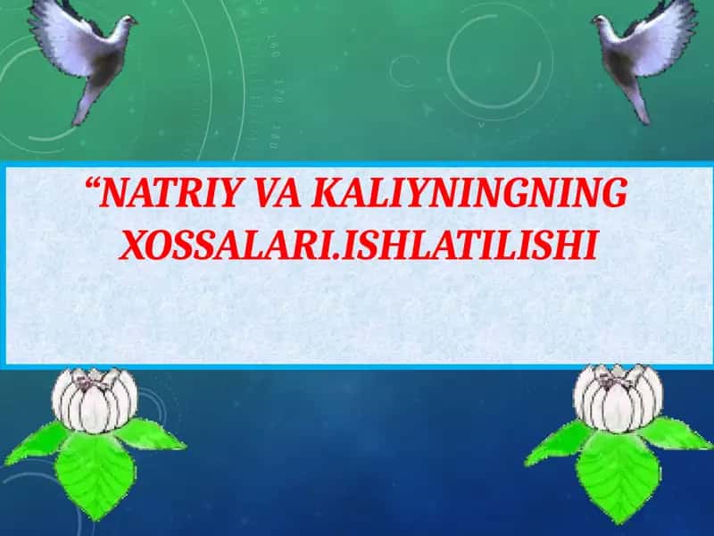 NATRIY VA KALIYNINGNINGXOSSALARI.ISHLATILISHI 1