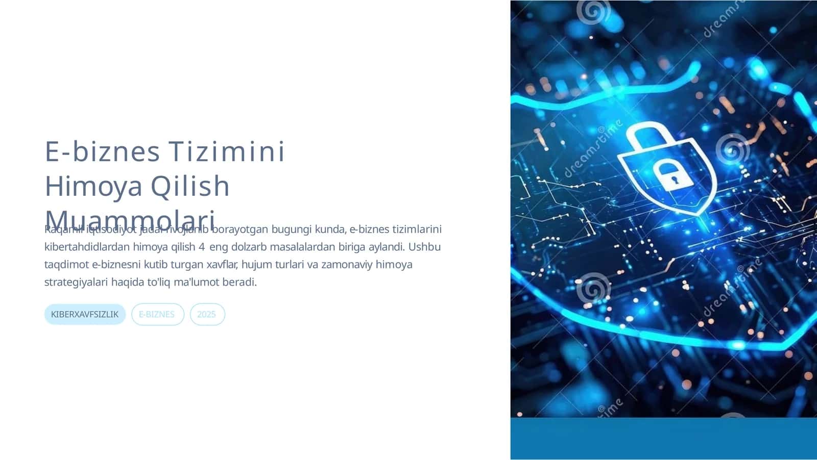 Muammolari E-biznes Tizimini Himoya Qilish 1