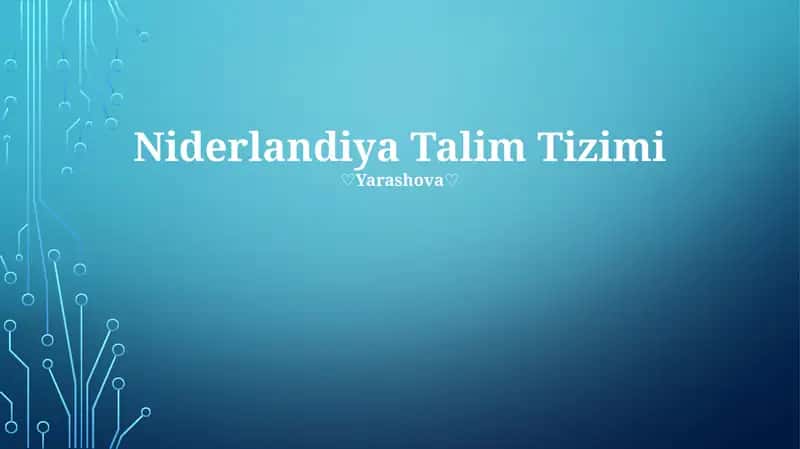 Niderlandiya Talim Tizimi 1
