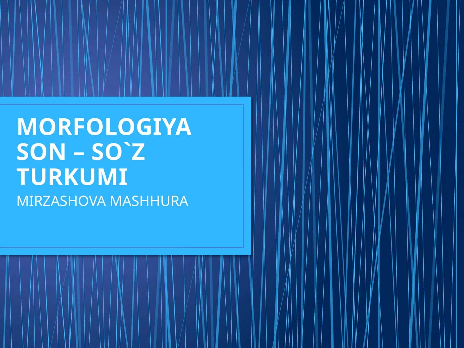 MORFOLOGIYASON – SO`Z TURKUMI 1