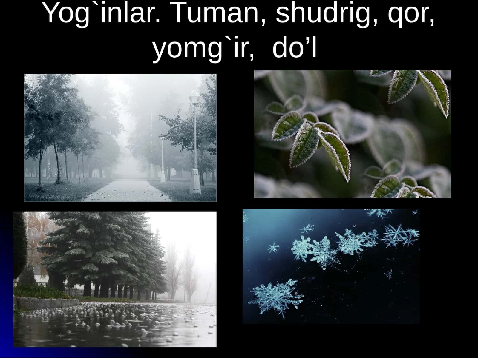 Tuman 1