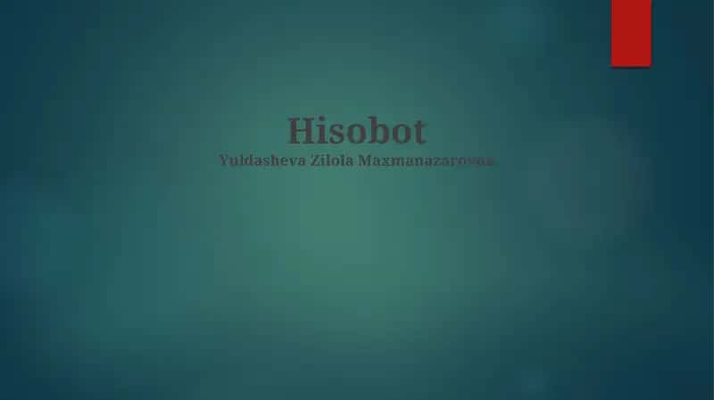 Hisobot 1