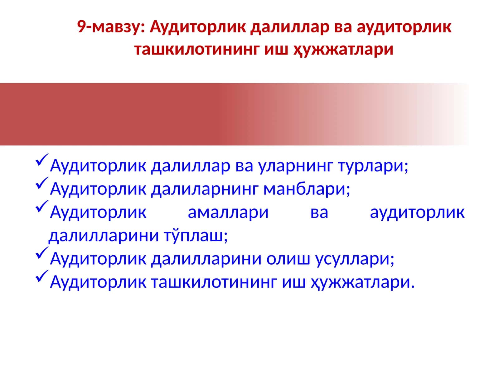 Аудиторлик далиллари 1