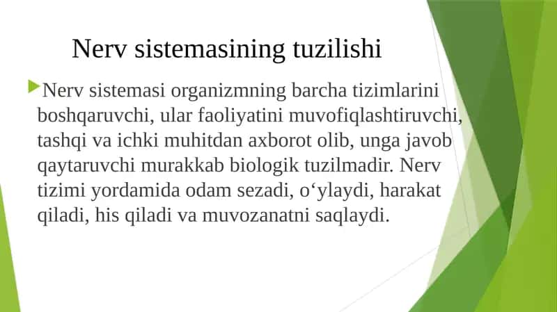 Nervsistemasining tuzilishi 1