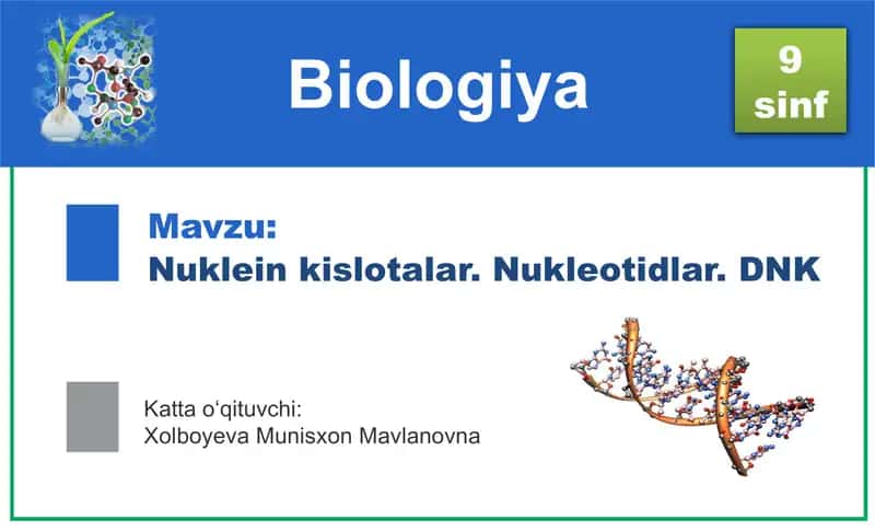 Nuklein kislotalar. Nukleotidlar. DNK 1