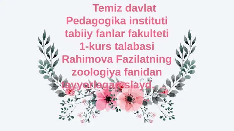 Halqali chuvalchanglar 1