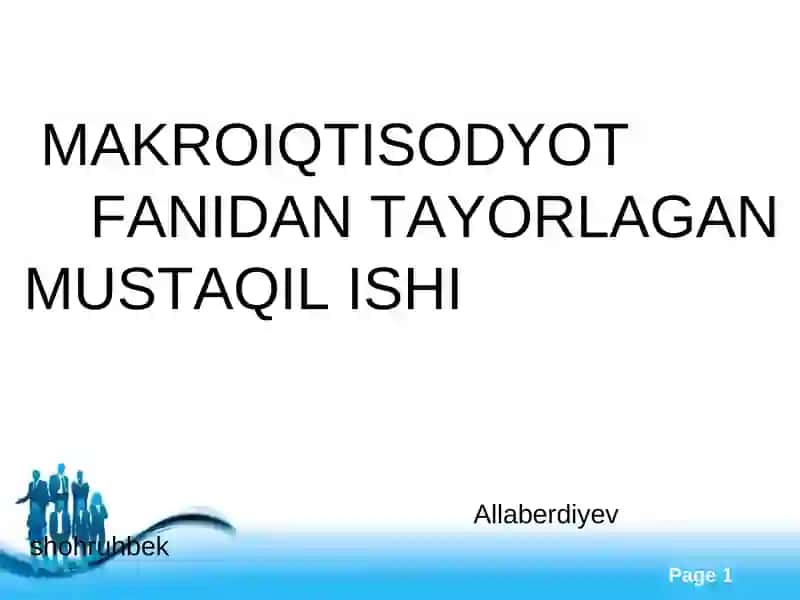MAKROIQTISODYOT FANIDAN TAYORLAGAN MUSTAQIL ISHI