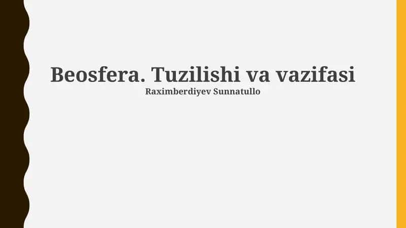 Beosfera. Tuzilishi va vazifasi 1