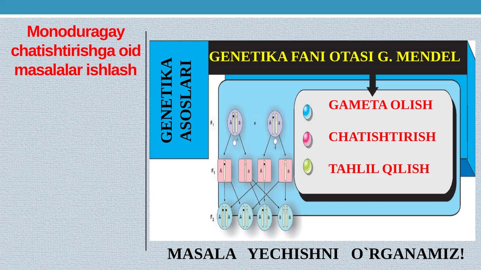 GENETIKADAN MASALA ISHLASH 1