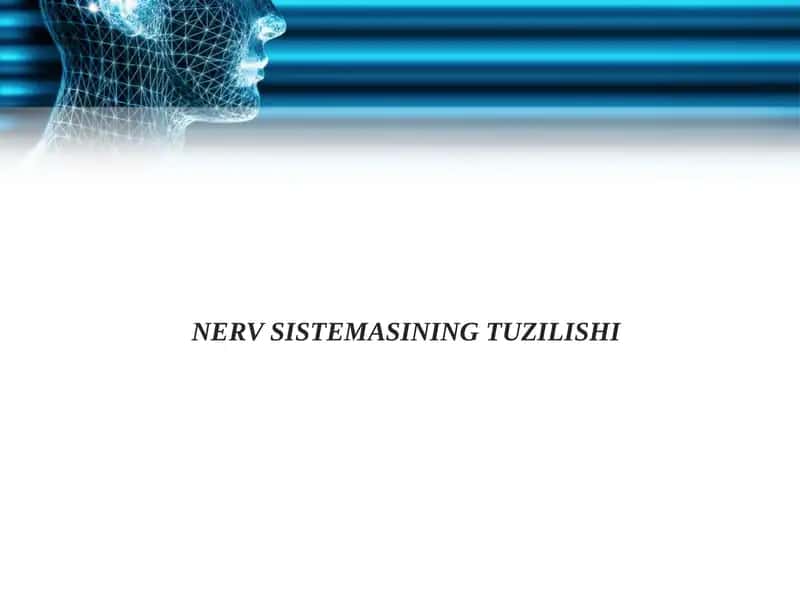 NERV SISTEMASINING TUZILISHI 1