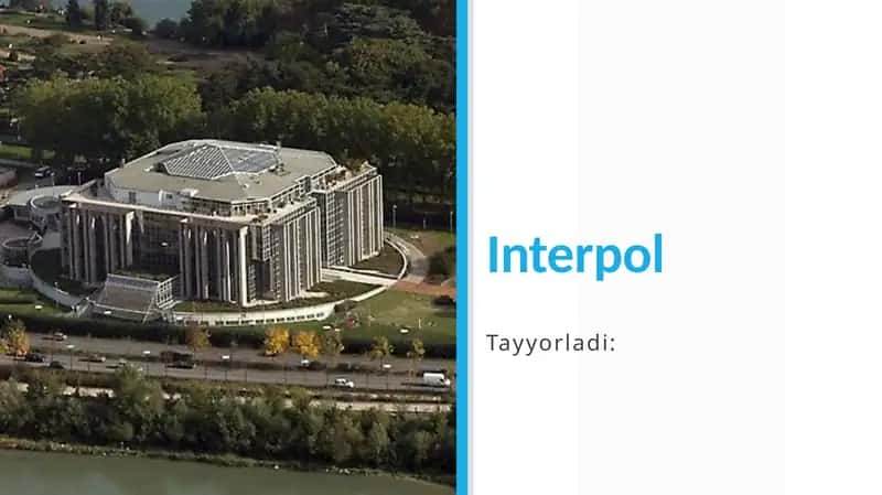 Interpol 1