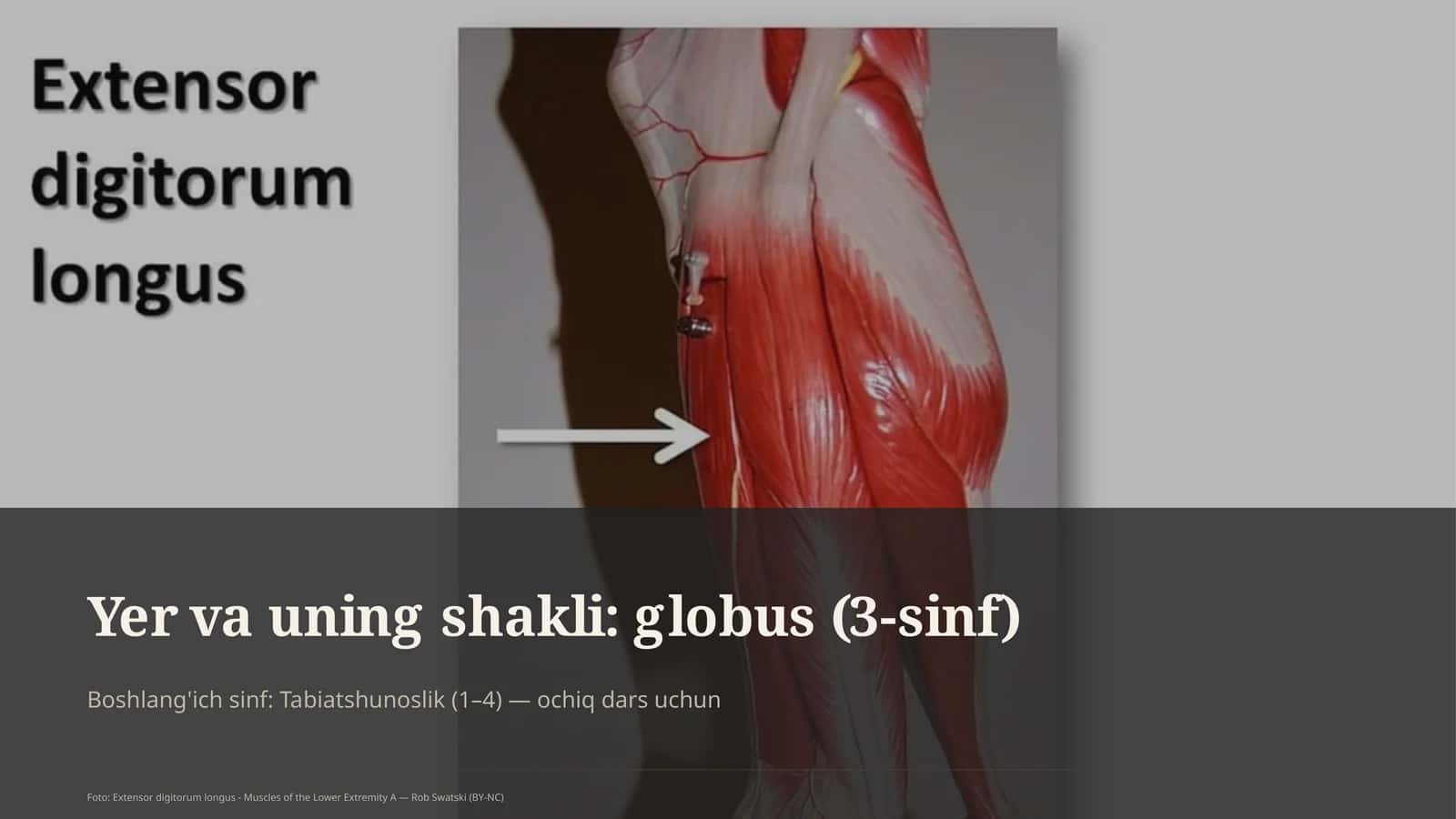 Globus (3-sinf) 1