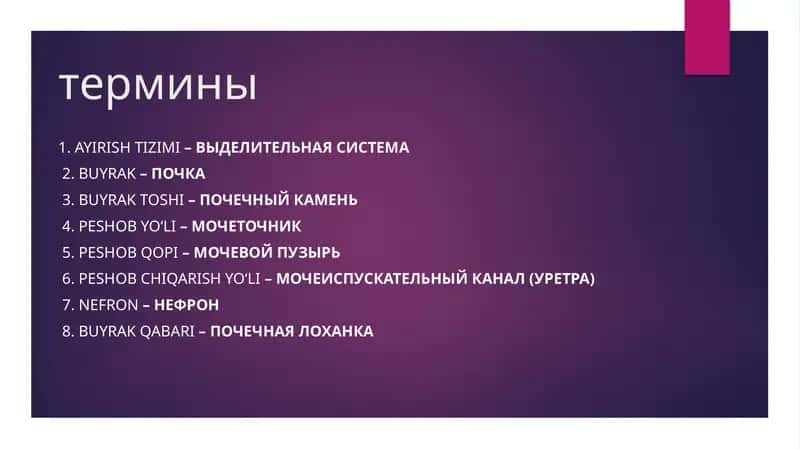 Термины 1
