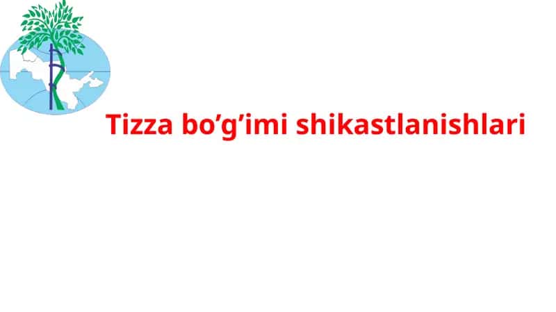 Tizza bo’g’imi shikastlanishlari 1