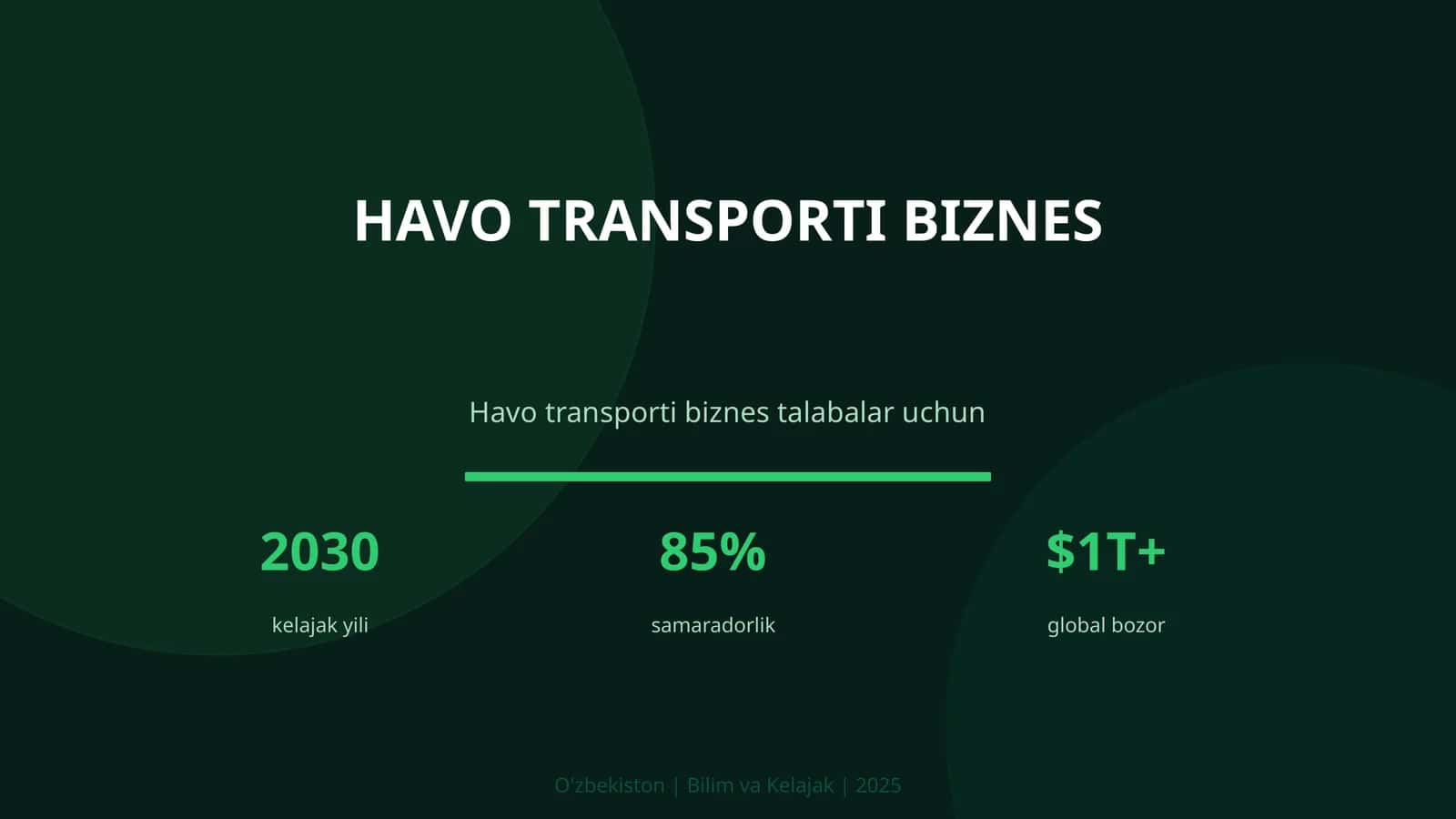 Havo transporti biznes 1