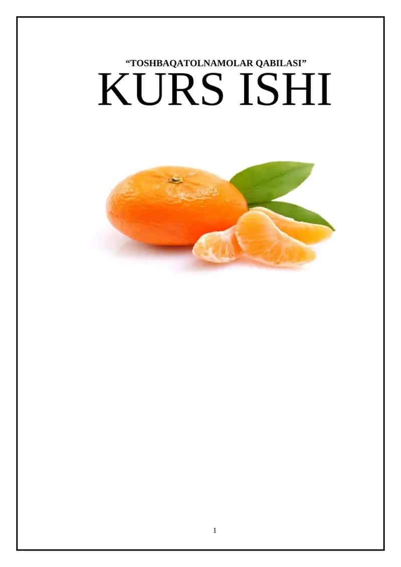 Toshbaqatolnamolar Qabilasi 1