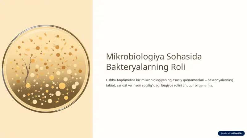 Mikrobiologiya Sohasida Bakteryalarning Roli 1